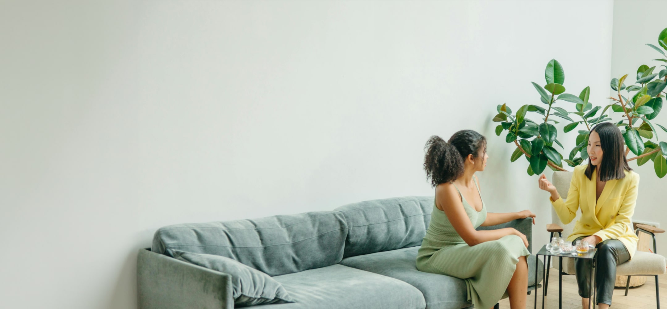 Home sustainability fastklean