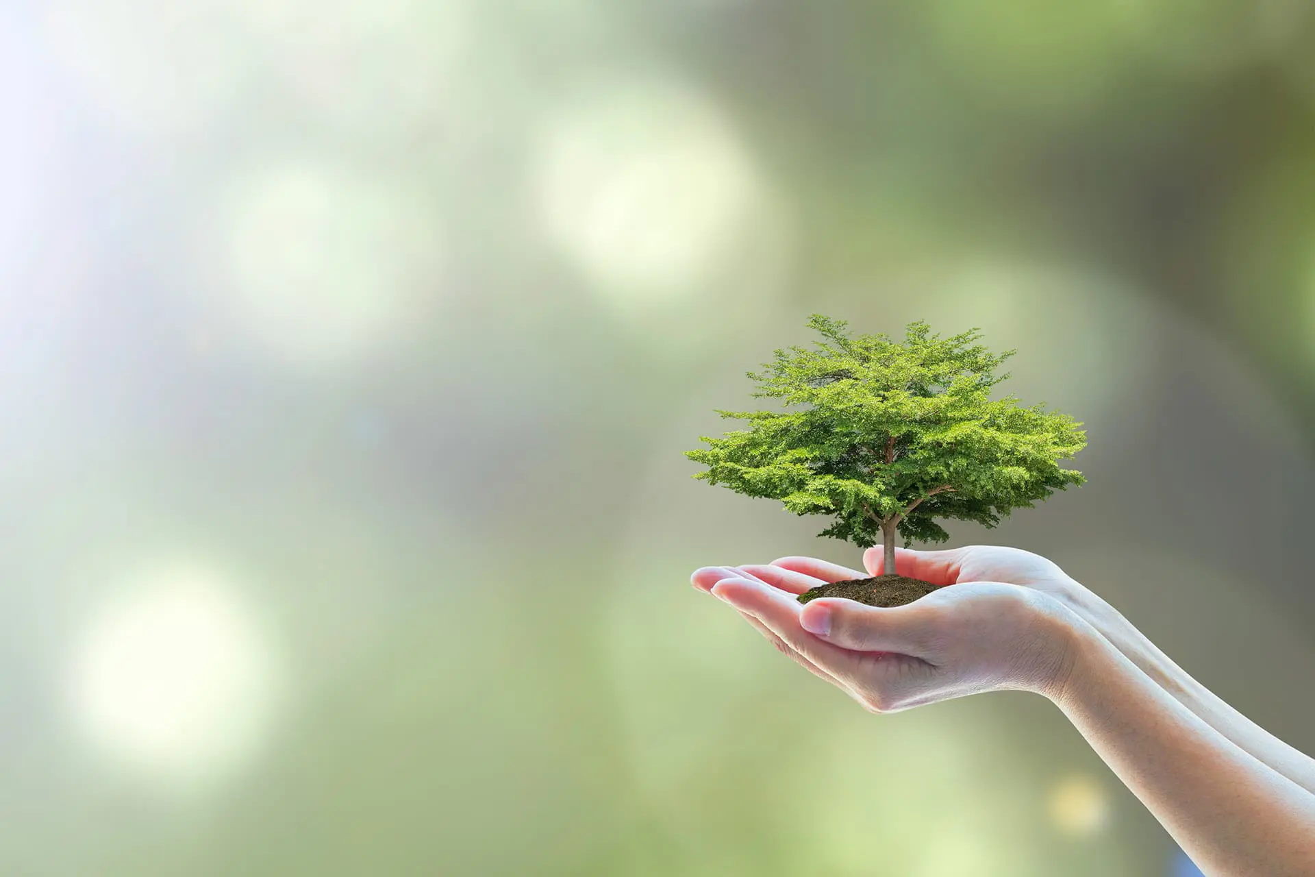 Home sustainable and eco friendly cleaning company